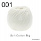 LANA GROSSA Soft Cotton Big