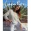 LANA GROSSA Linea Pura 17 Patronen