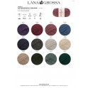LANA GROSSA Landlust Die Sockenwolle 50 melange
