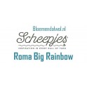 Scheepjeswol Roma Big Rainbow