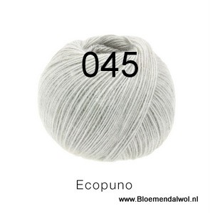 Ecopuno 045