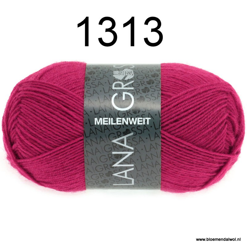 Meilenweit 50 1313