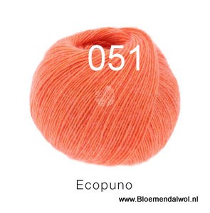Ecopuno 051