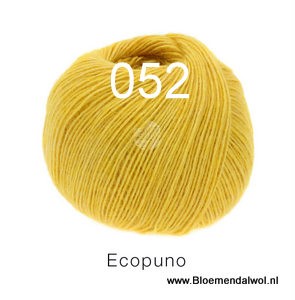 Ecopuno 052