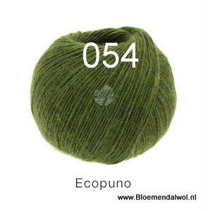 Ecopuno 054