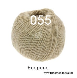 Ecopuno 055