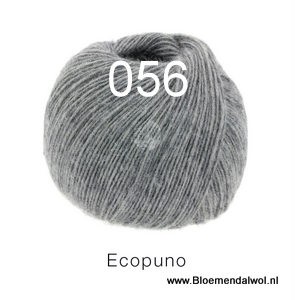 Ecopuno 056