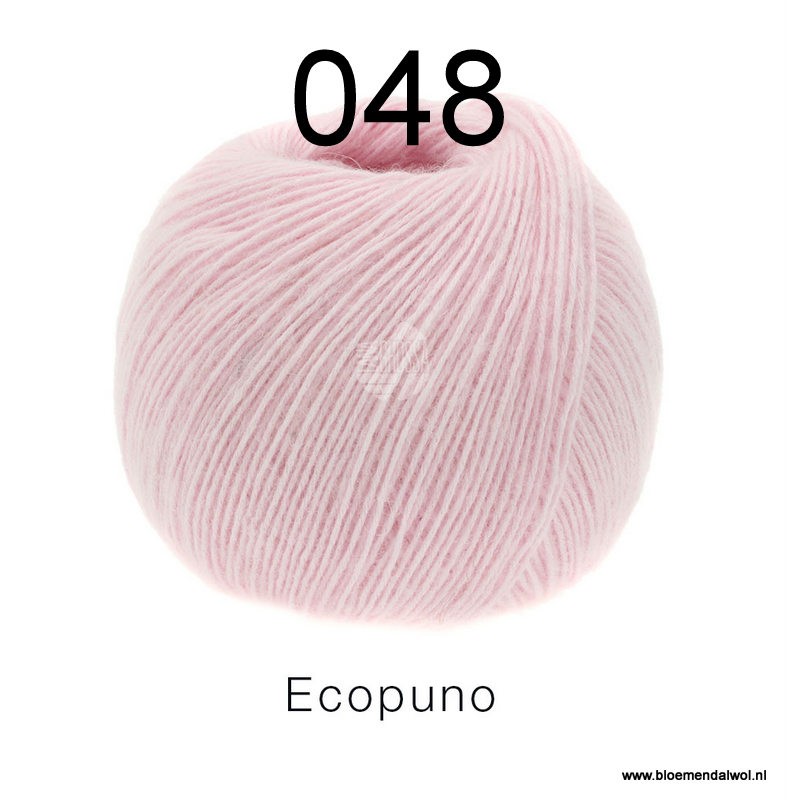 Ecopuno 048