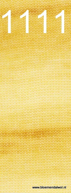 Silkhair Haze Dégradé 1111