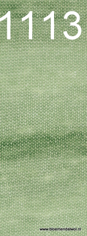 Silkhair Haze Dégradé 1113