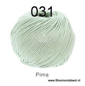 Pima 031