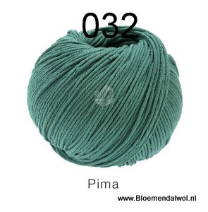 Pima 032
