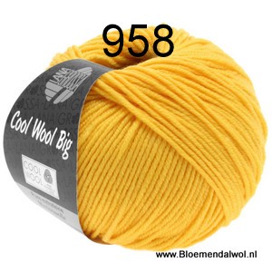 Cool Wool Big 958
