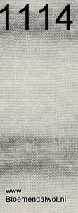 Silkhair Haze Dégradé 1114