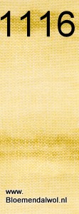 Silkhair Haze Dégradé 1116