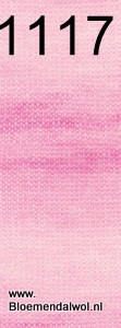 Silkhair Haze Dégradé 1117
