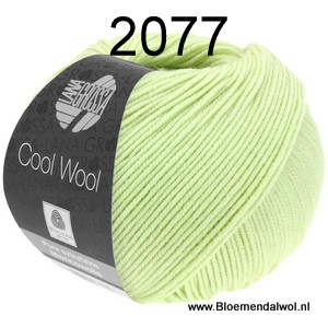 Cool Wool 2077