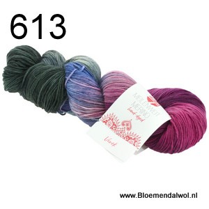 MW 100 Merino Hand-dyed 613