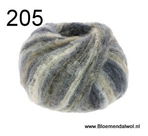 Twin 205
