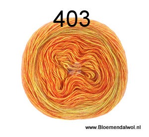 Ecopuno Dégradé 403