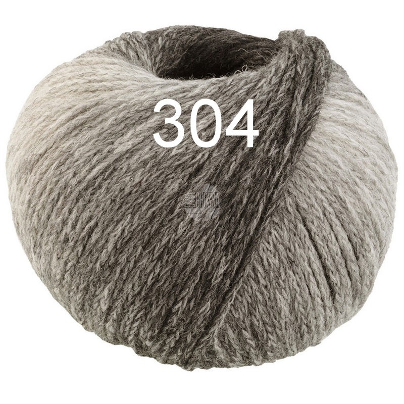 Cool Merino Dégradé 304