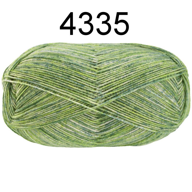 Meilenweit 100 Socktober 4335