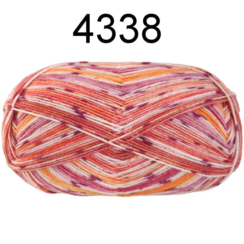 Meilenweit 100 Socktober 4338