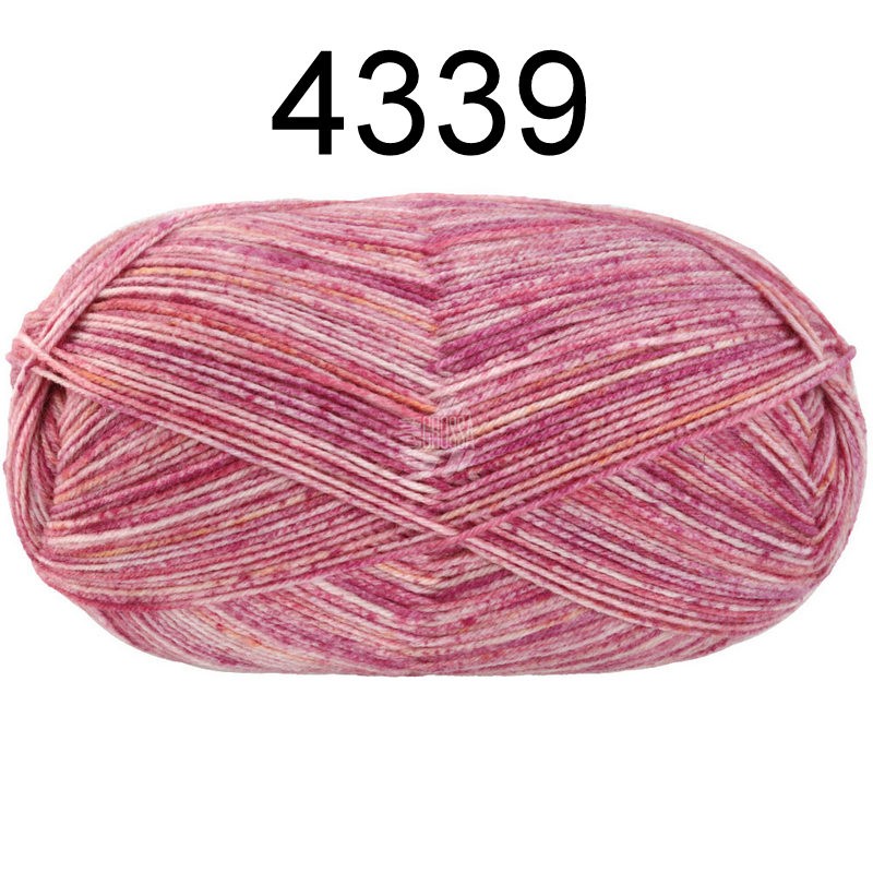 Meilenweit 100 Socktober 4339