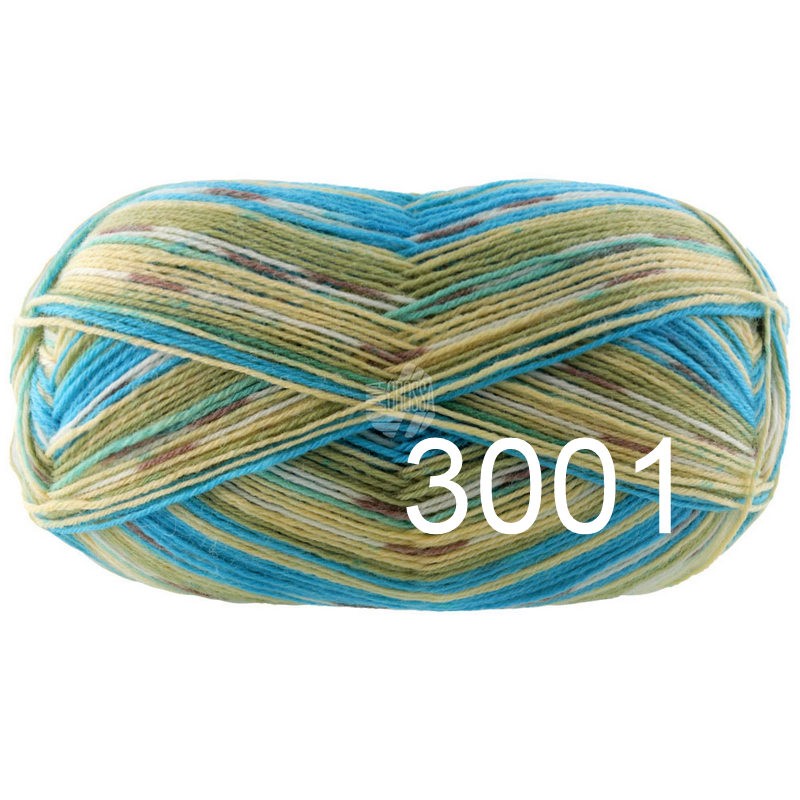 Meilenweit 100 Aktion 3001