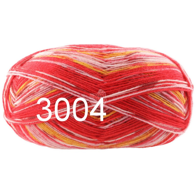 Meilenweit 100 Aktion 3004