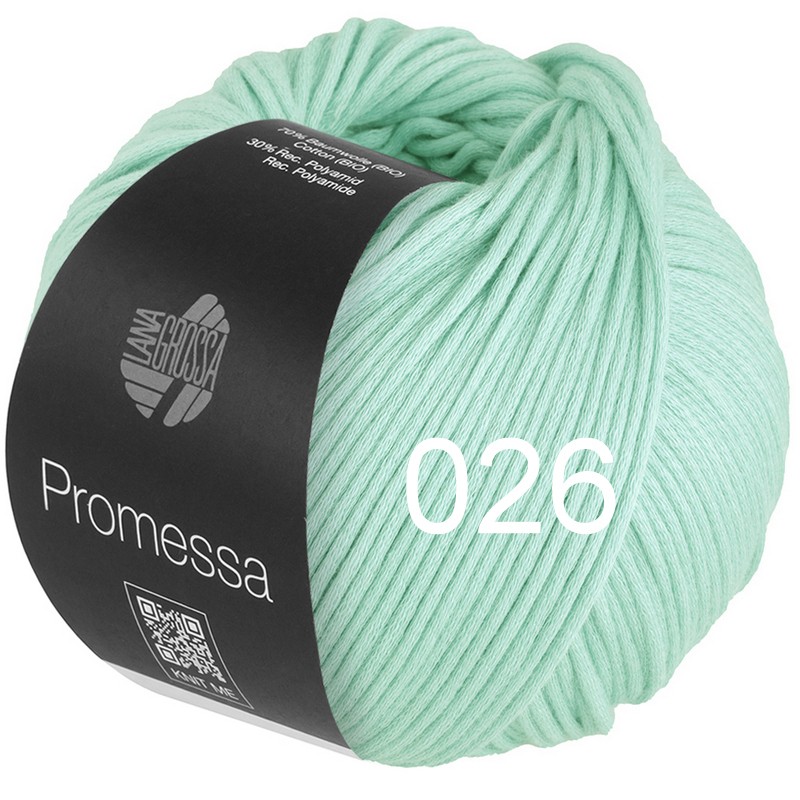 Promessa 026