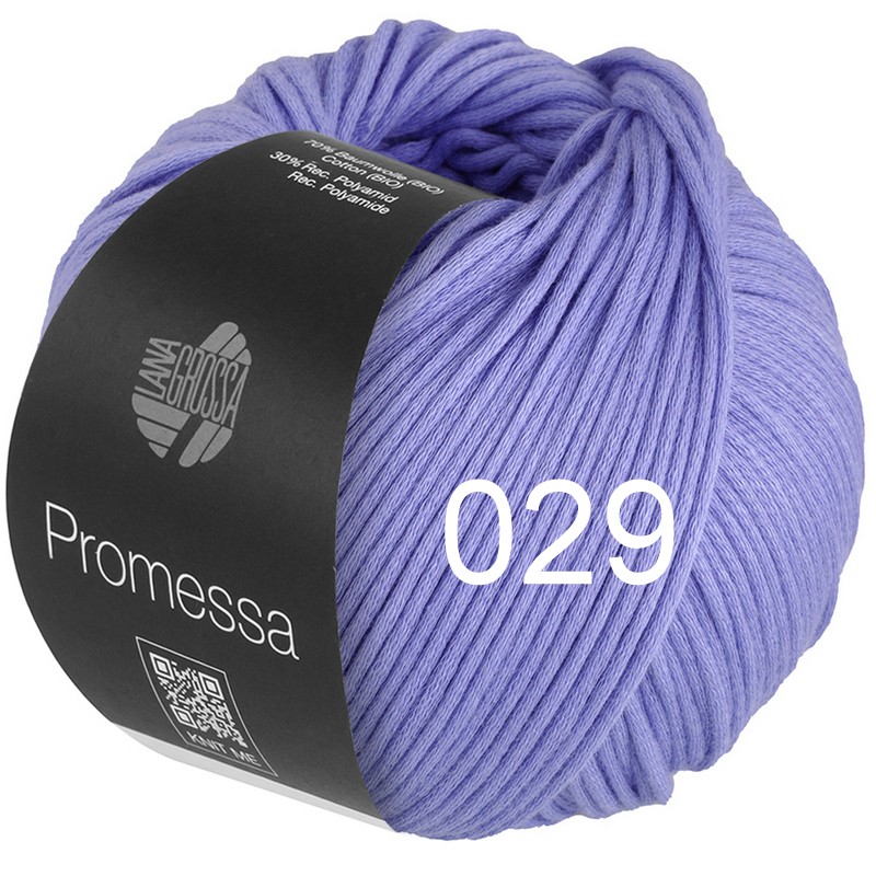 Promessa 029