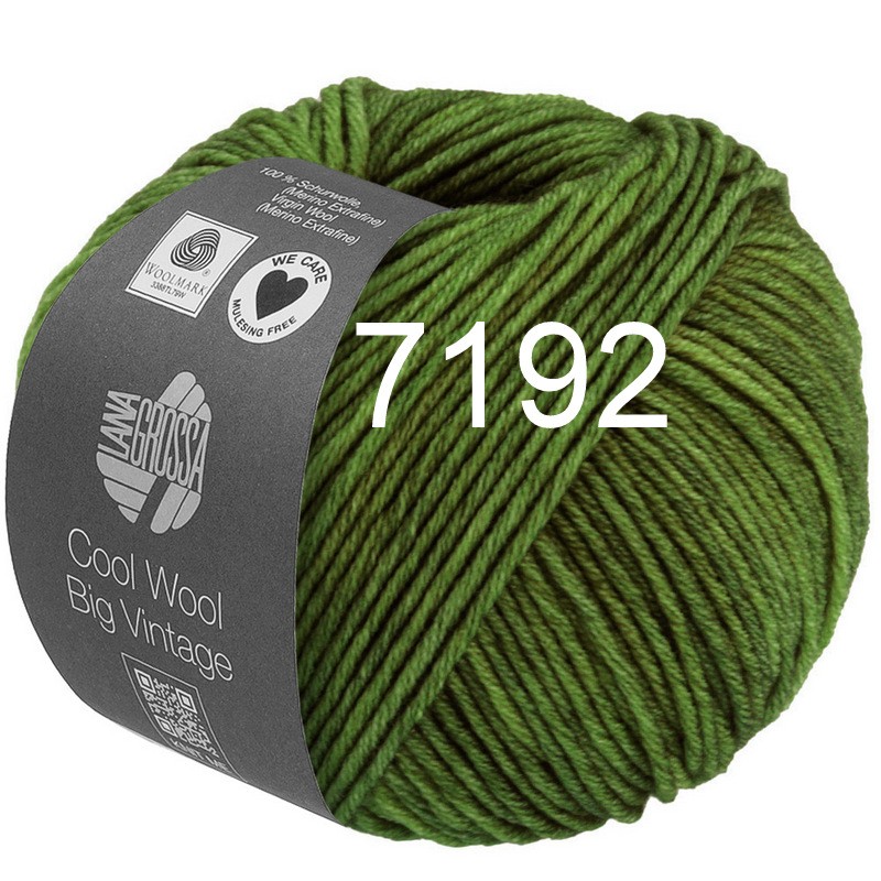 Cool Wool Big Vintage 7192