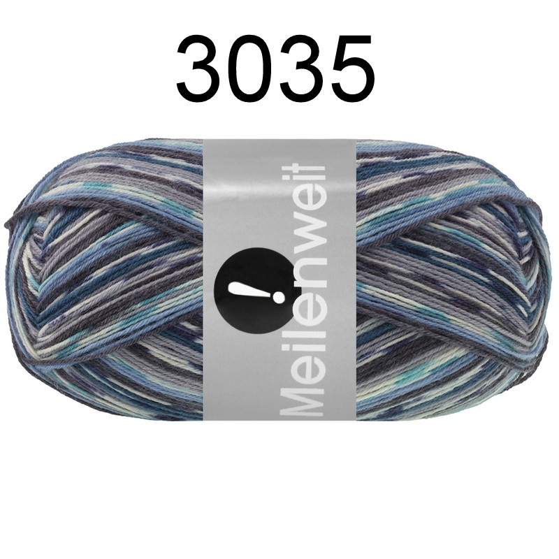 MW 100 Aktion FS 3035