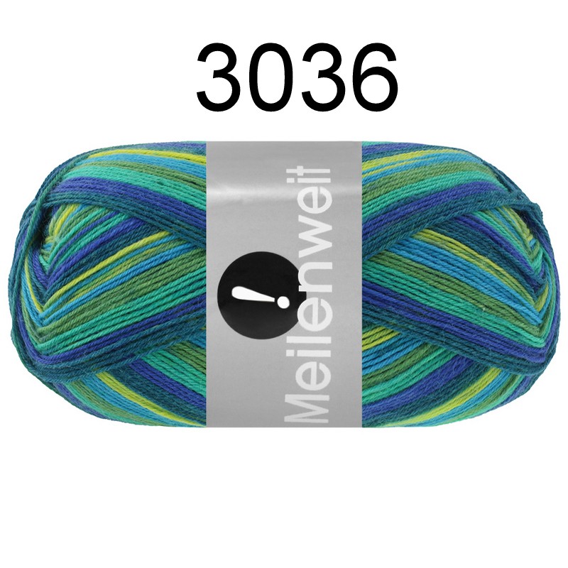 MW 100 Aktion FS 3036