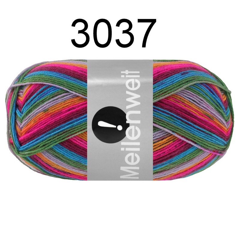MW 100 Aktion FS 3037