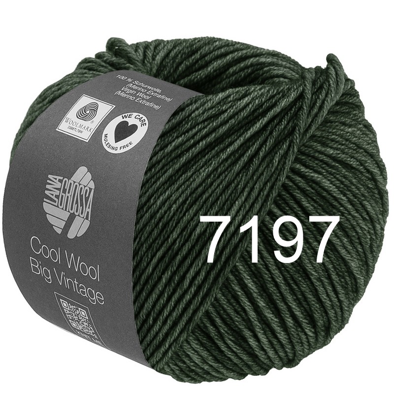 Cool Wool Big Vintage 7197