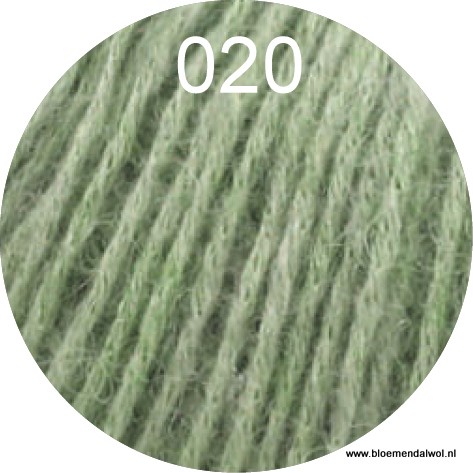 Ecopuno 020