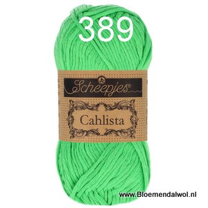 Scheepjes Cahlista 389