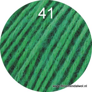Ecocpuno 041