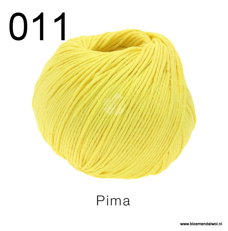 Pima 011