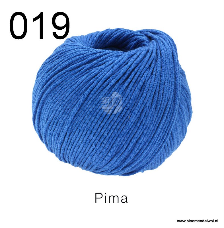 Pima 019