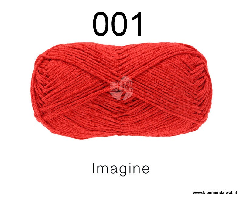 Imagine 001