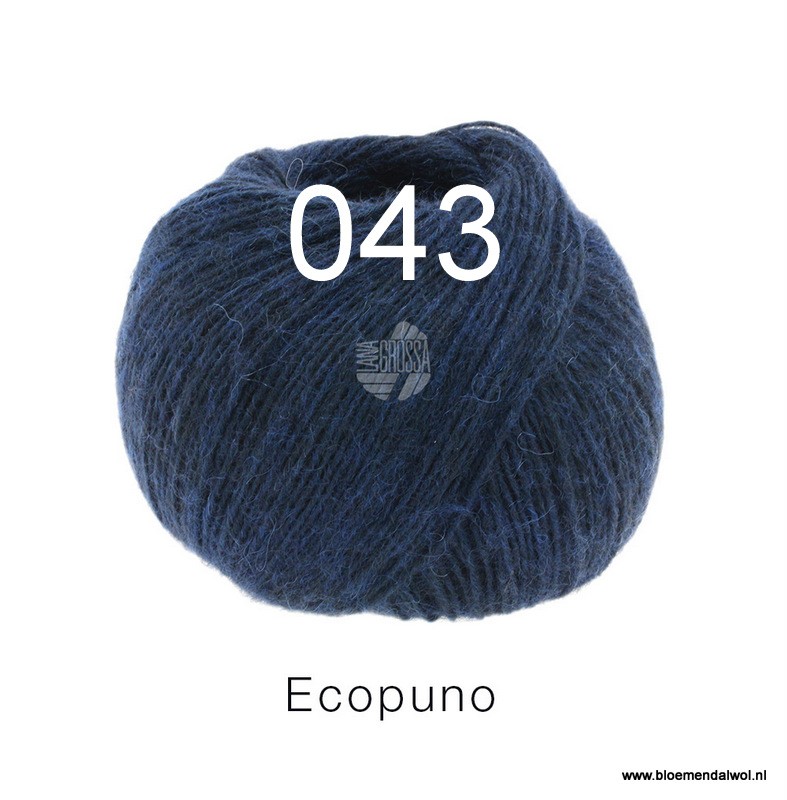 Ecopuno 043