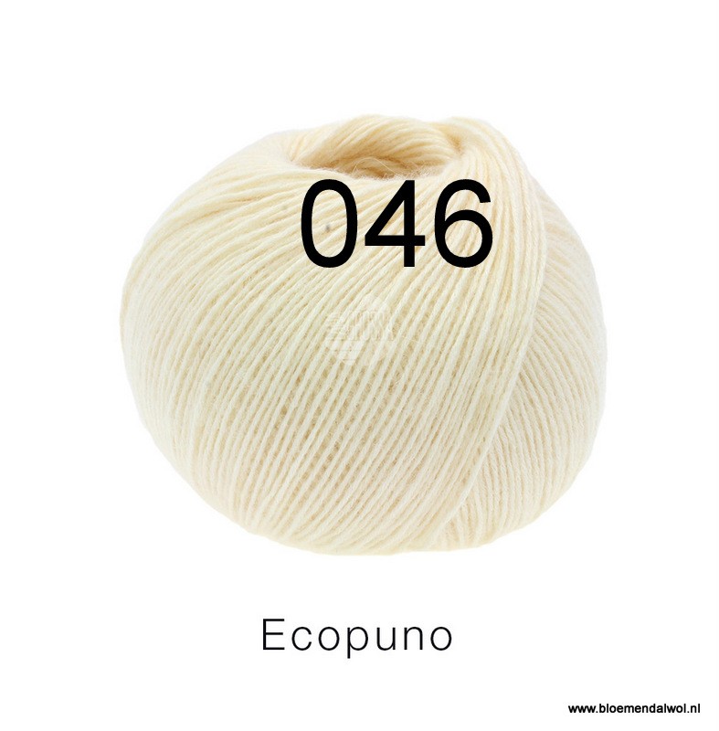 Ecopuno 046