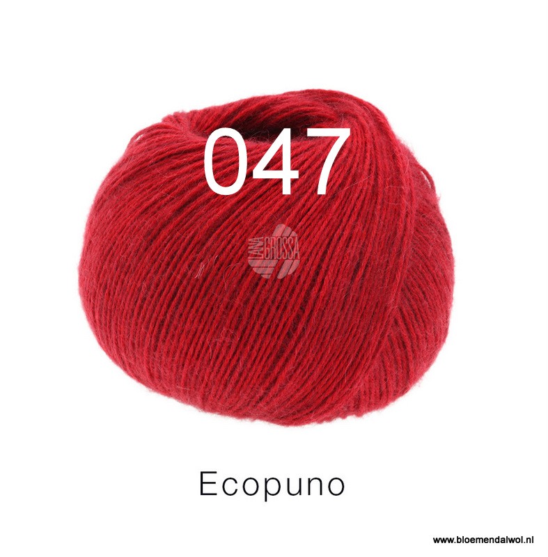 Ecopuno 047